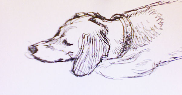 Chuck napping